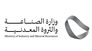 Saudi Technology and Innovation Partner Organization